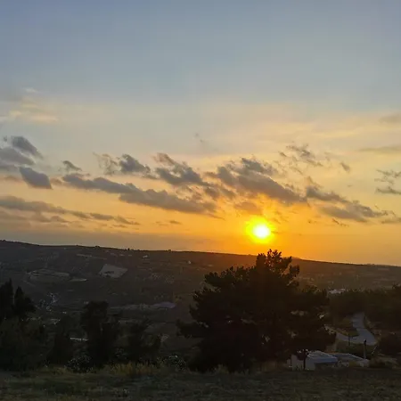 ροδάμη * Galipe